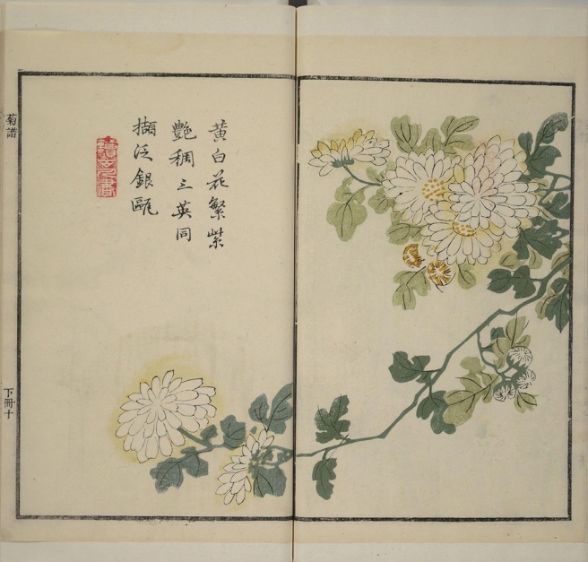 The Mustard Seed Garden Manual of Painting (Book of the Chrysanthemum)