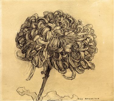 Chrysanthemum by Piet Mondrian