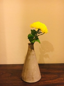 Chrysanthemum in Vase